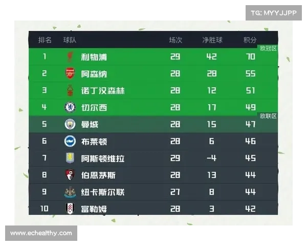 2009赛季英超积分榜